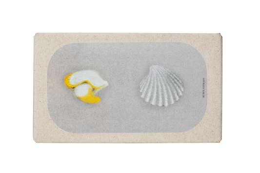 Jūros moliuskai sūryme iš The Epa